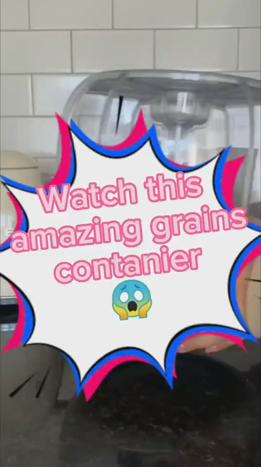 1.mp4